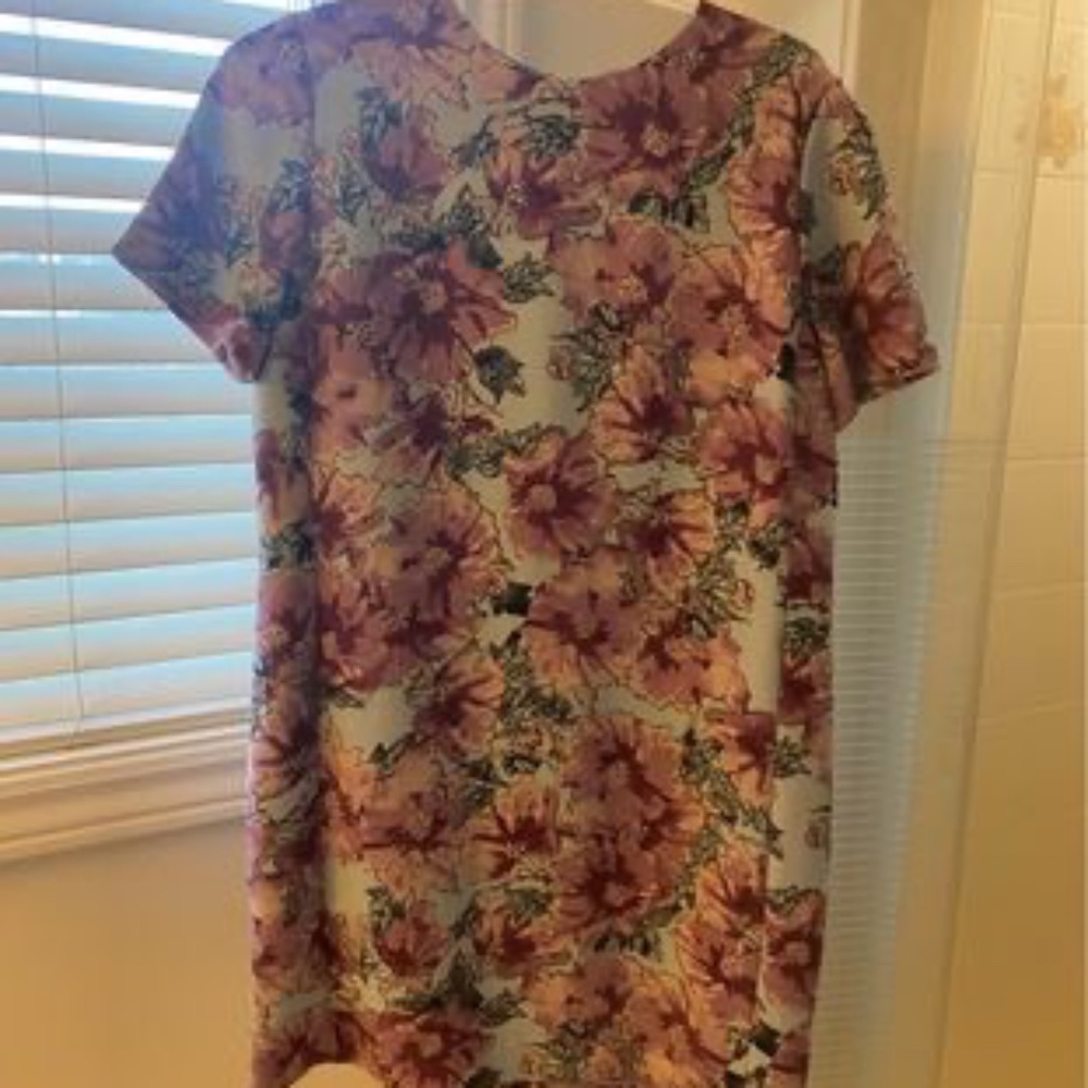 Aritzia dress